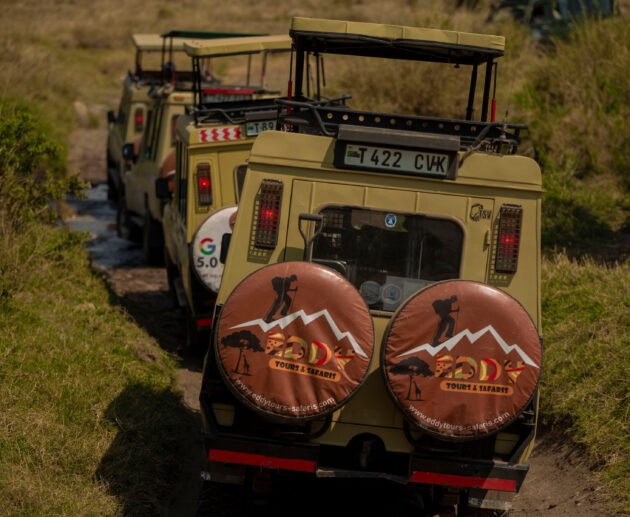 6 Days Group Budget Safari from Arusha in Tanzania – 1 Affordable Wildlife Adventure 2026, 2027 & 2028