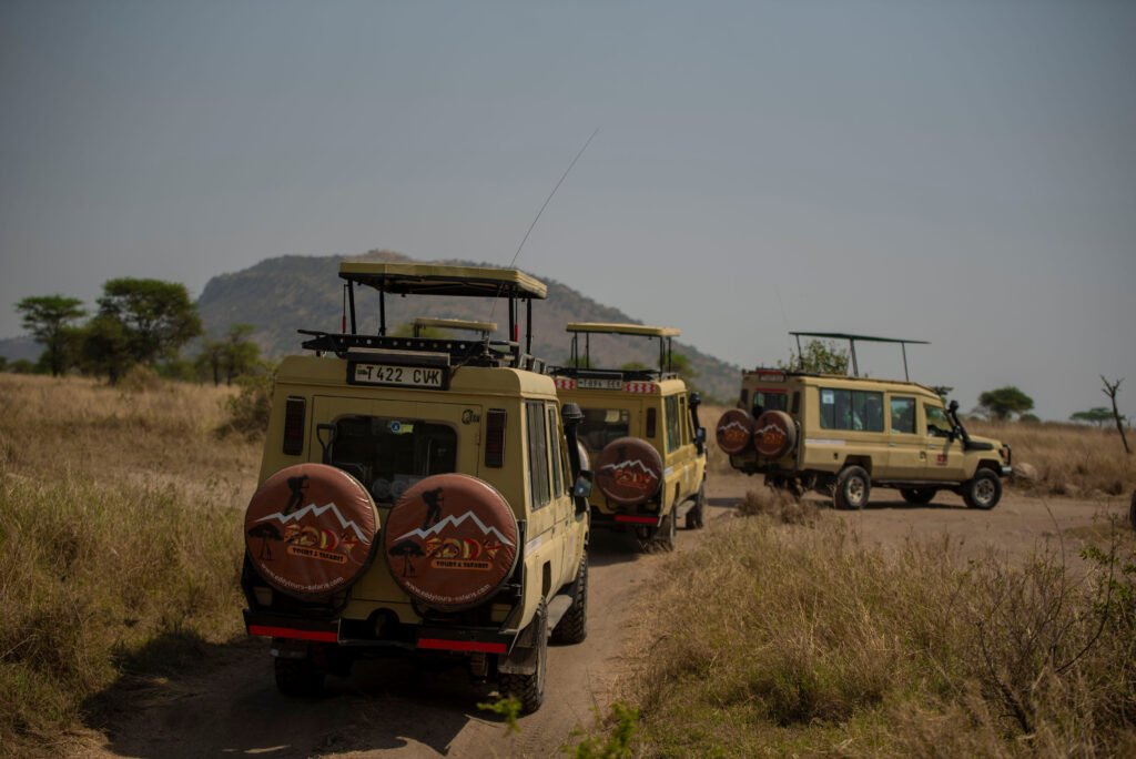 Tanzania Safari Tours - 2356+ The World's Top Best Safaris in Tanzania | 1 Ultimate Wildlife Experience 2026, 2027 & 2028