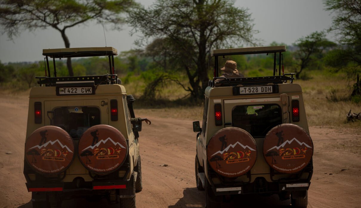 5 Days Tanzania Exclusive Private Safari Tour – 1 Remarkable Wildlife Escape 2026, 2027 & 2028
