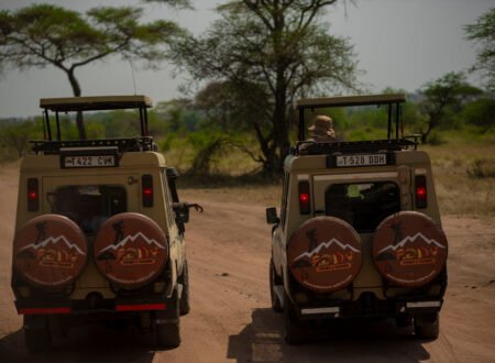 5 Days Tanzania Exclusive Private Safari Tour – 1 Remarkable Wildlife Escape 2026, 2027 & 2028