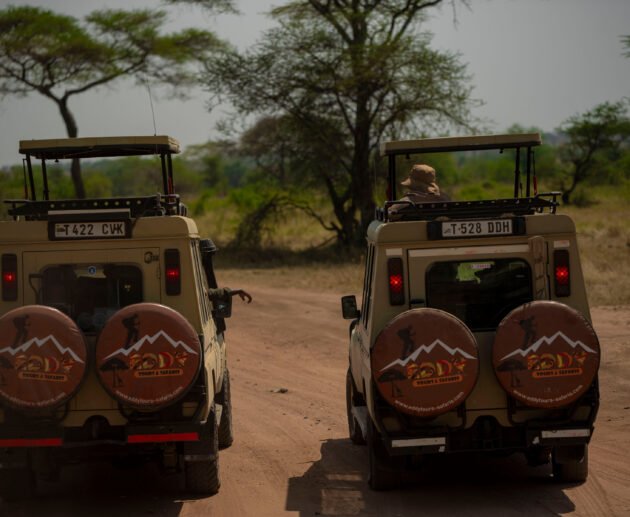 5 Days Tanzania Exclusive Private Safari Tour – 1 Remarkable Wildlife Escape 2026, 2027 & 2028