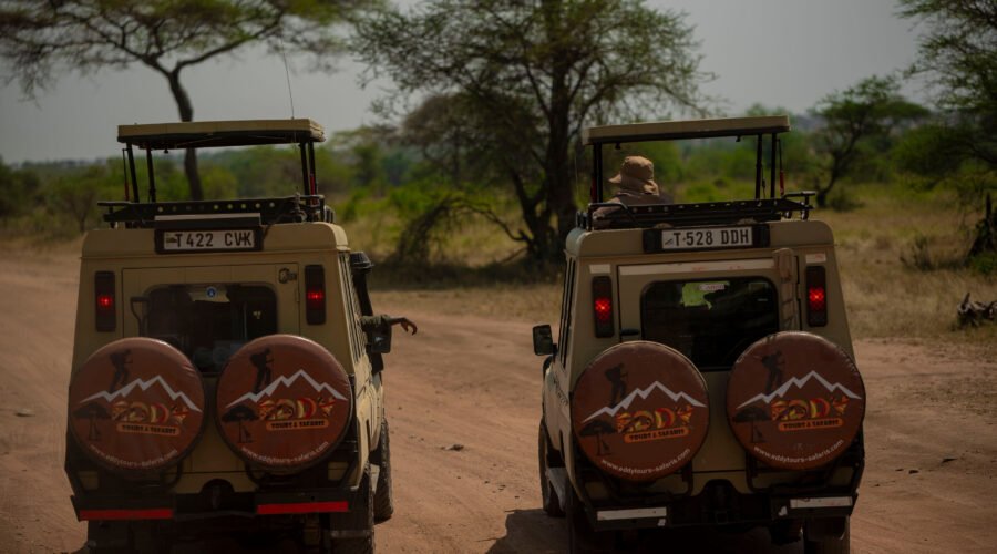5 Days Tanzania Exclusive Private Safari Tour – 1 Remarkable Wildlife Escape 2026, 2027 & 2028