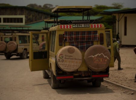 6 Tips for Making the Most of Your Visit to the Serengeti 2026/2027/2028 – Ultimate Powerful Safari Guide