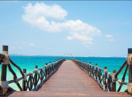 Best Safari from Zanzibar for 2026, 2027 & 2028 Travelers – 1 Incredible African Escape