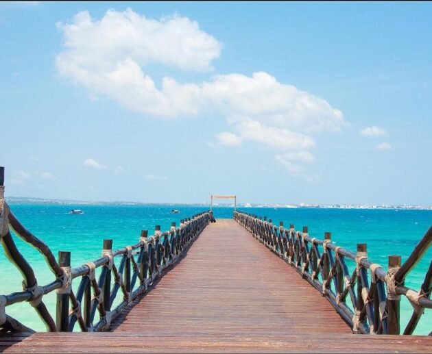Best Safari from Zanzibar for 2026, 2027 & 2028 Travelers – 1 Incredible African Escape