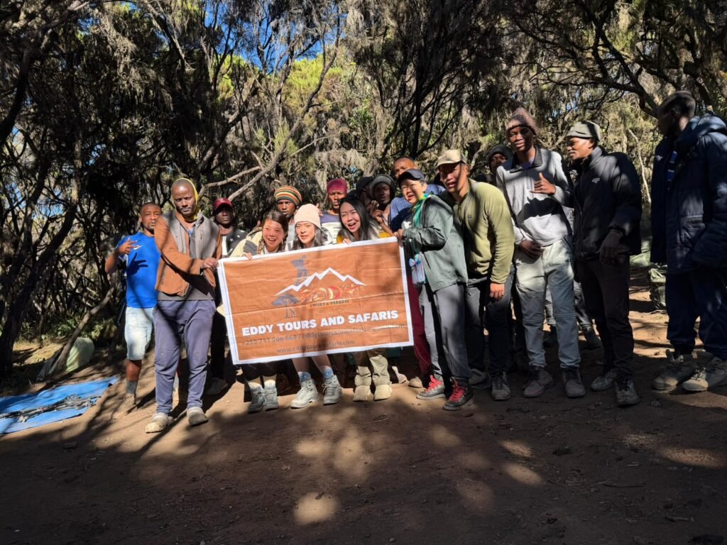 Best 6 Days Kilimanjaro Trekking Tours Tanzania – 1 Ultimate Climbing Experience 2026, 2027 & 2028