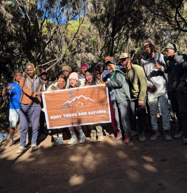 Best 10 Days Kilimanjaro Trekking Tours Tanzania – 1 Ultimate Adventure Experience 2026, 2027 & 2028