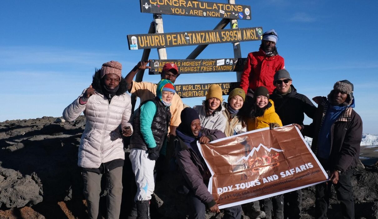 Best 7 Days Kilimanjaro Trekking Tours Tanzania – 1 Ultimate Climbing Adventure 2026, 2027 & 2028