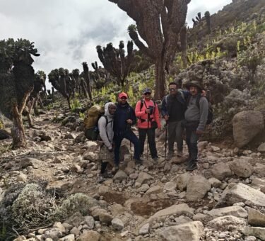 Best 9 Days Kilimanjaro Trekking Tours Tanzania – 1 Ultimate Summit Journey 2026, 2027 & 2028