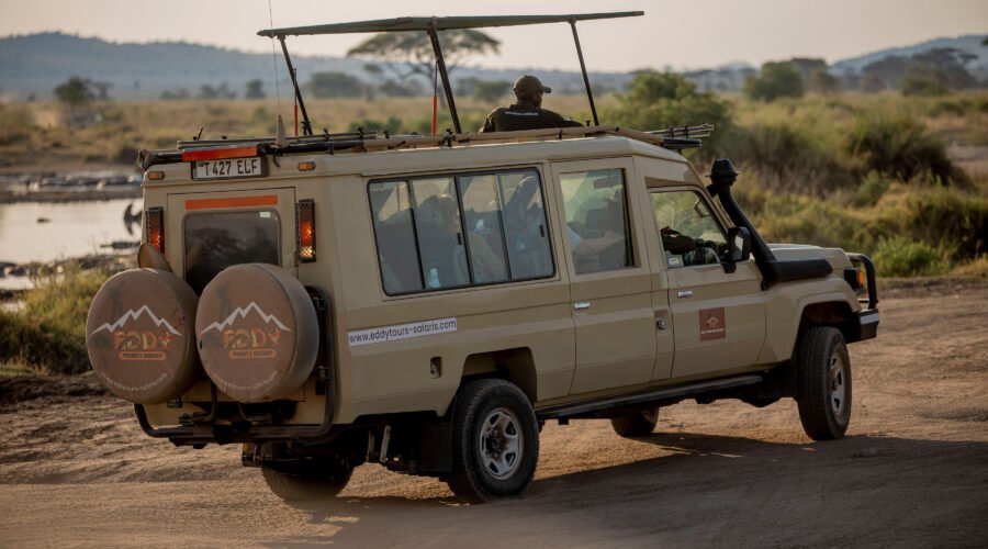 Tanzania Safari Packages from USA 2026, 2027 & 2028 – 7 Best Life-Changing Tours