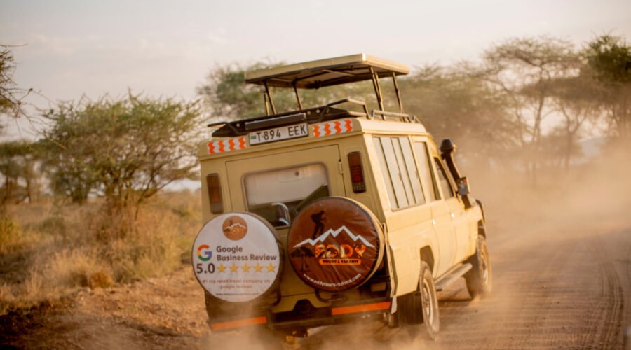 Agent and Partner with Eddy Tours and Safaris 2026, 2027 & 2028