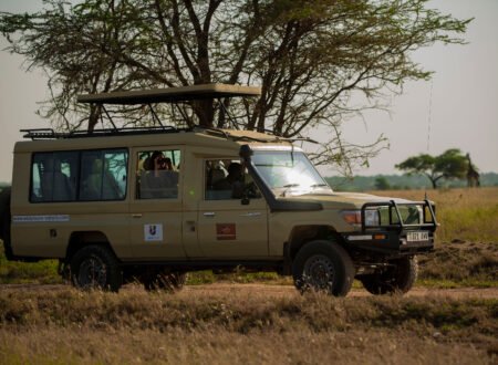 Ultimate 4-Day Tanzania Safari Ngorongoro & Serengeti In 2026,2027,and 2028.