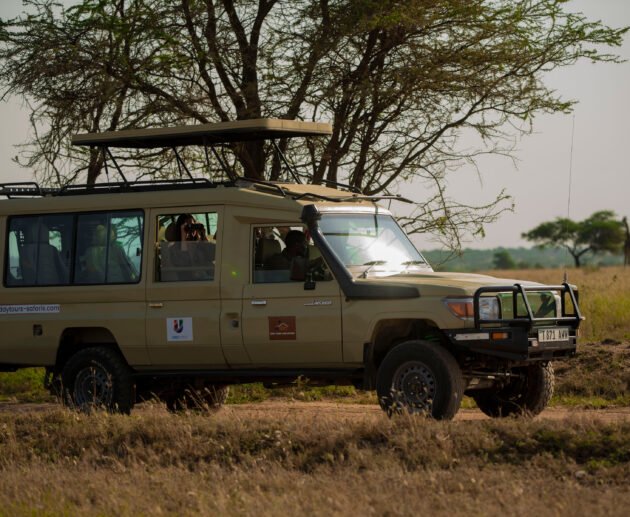 Ultimate 4-Day Tanzania Safari Ngorongoro & Serengeti In 2026,2027,and 2028.