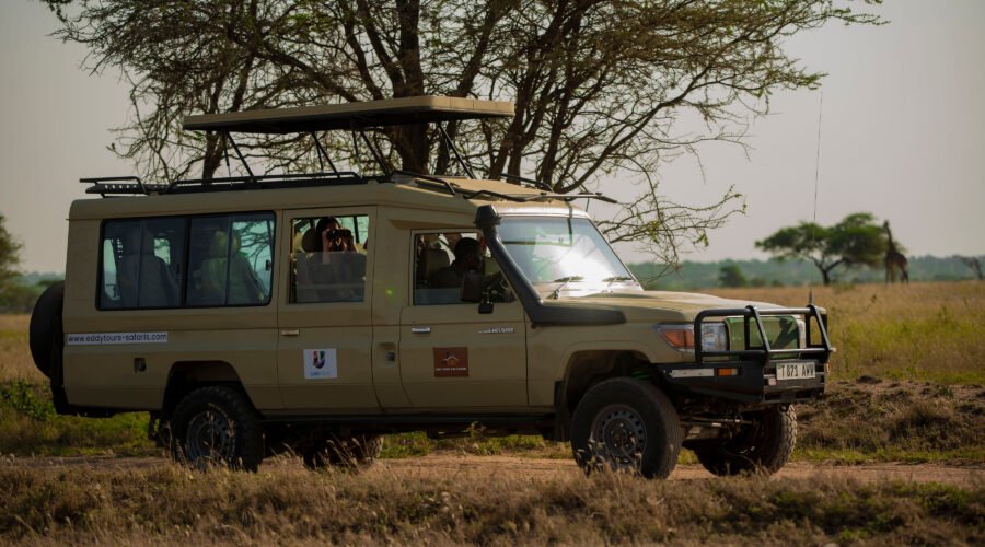 Ultimate 4-Day Tanzania Safari Ngorongoro & Serengeti In 2026,2027,and 2028.