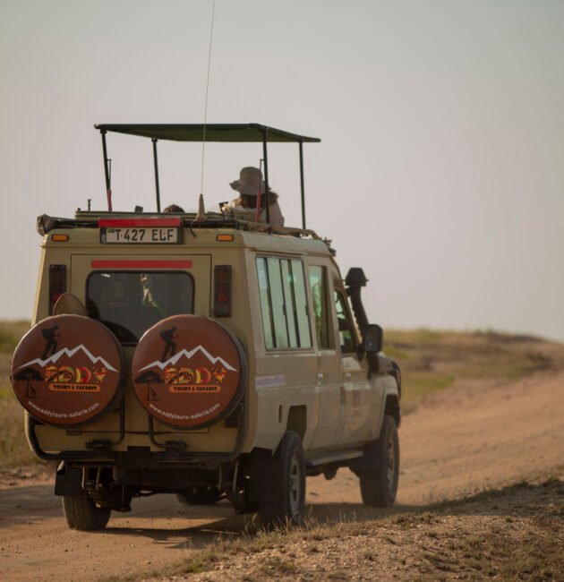 Tanzania Safari Seasons Explained: When Wildlife Viewing Is at Its Best 2026, 2027 & 2028