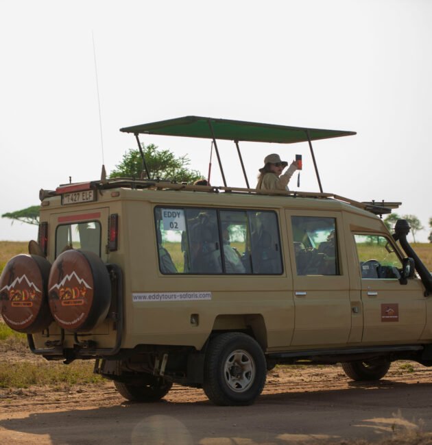 Luxury Tanzania Safari from California – 7 Powerful Travel Tips 2026, 2027 & 2028