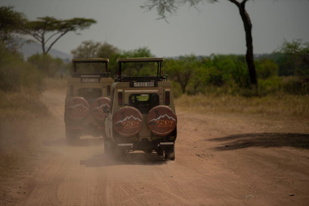 Why Tanzania Is Africa's Best Safari Destination 2026, 2027 & 2028