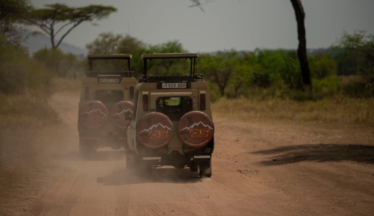 Why Tanzania Is Africa's Best Safari Destination 2026, 2027 & 2028