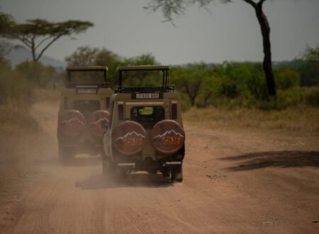 Why Tanzania Is Africa's Best Safari Destination 2026, 2027 & 2028