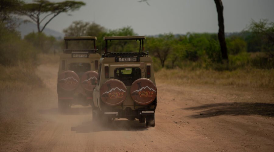 Why Tanzania Is Africa's Best Safari Destination 2026, 2027 & 2028