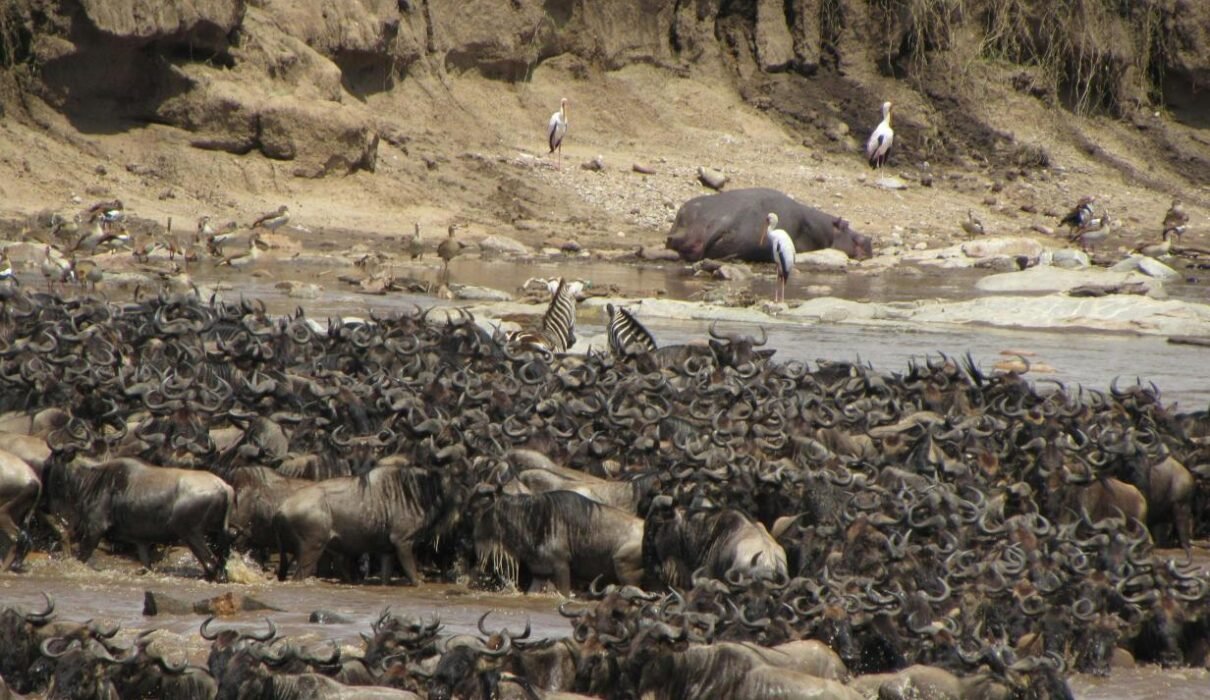 Tanzania Great Migration Safari from Geneva 2026, 2027 & 2028