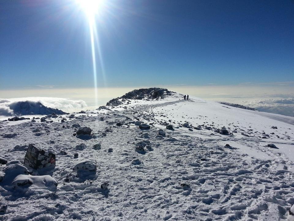 Luxury Tanzania Safari and Kilimanjaro Climb Experience 2026, 2027 & 2028