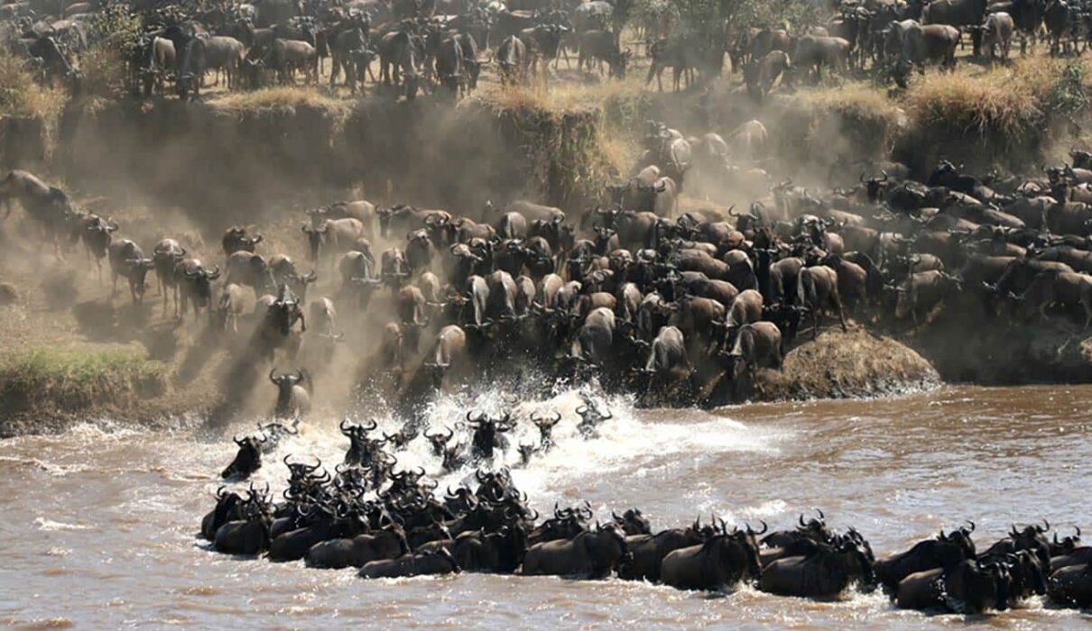 Tanzania Great Migration Safari Packages & Prices 2026, 2027 & 2028