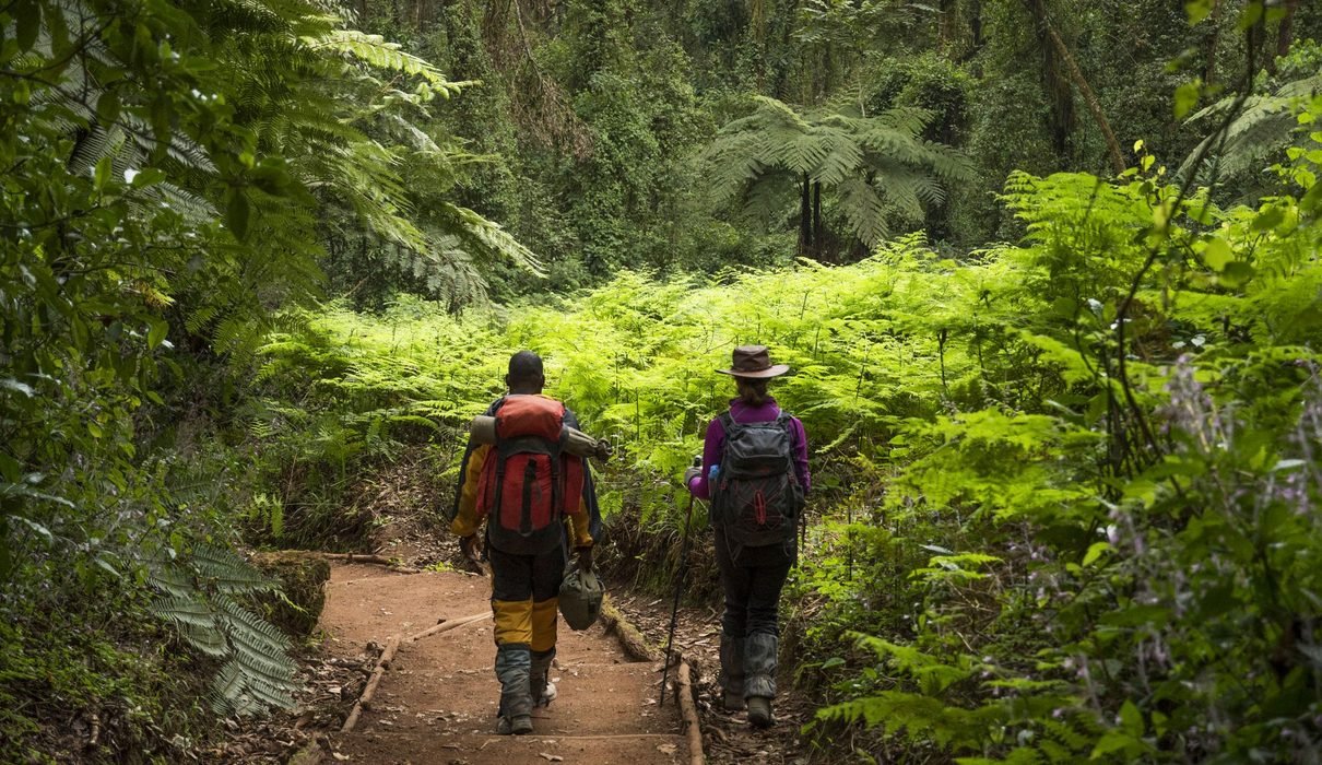 Tanzania Weather 2027: Latest Updates, Monthly Forecast Guide and Best Time to Visit