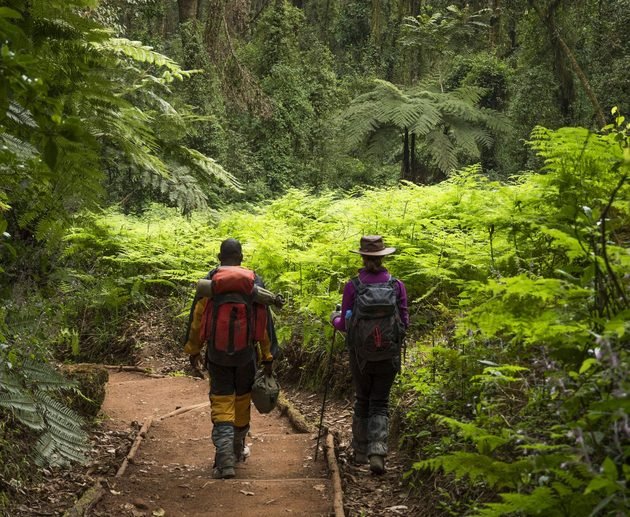 Tanzania Weather 2027: Latest Updates, Monthly Forecast Guide and Best Time to Visit