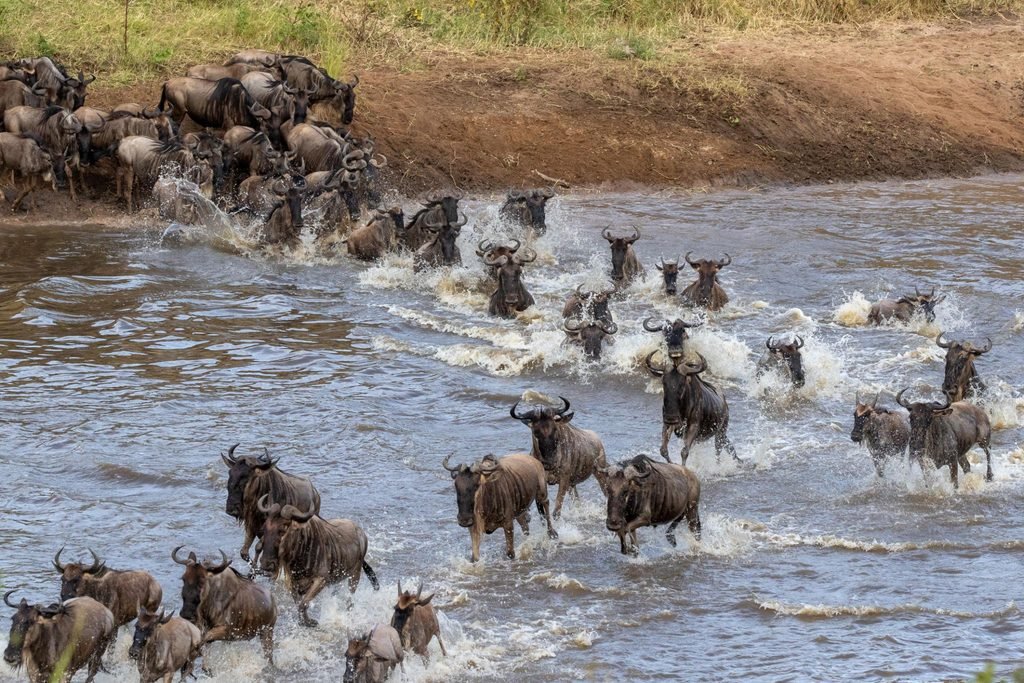 Tanzania Weather 2027: Latest Updates, Monthly Forecast Guide and Best Time to Visit