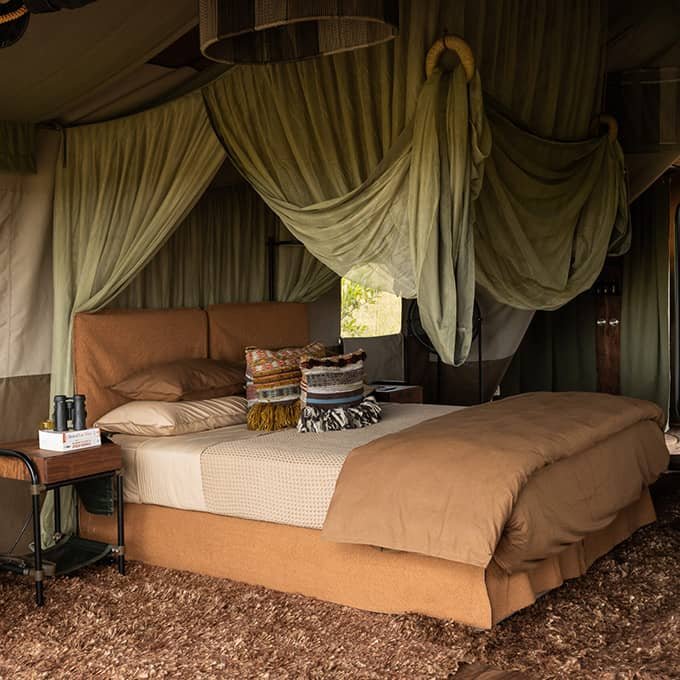 Masai Mara Kenya Safari Package 2026/2027: Complete Travel Guide