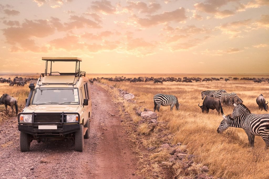 Book All-Inclusive Tanzania Safari Packages for 2027, 2028 & 2029