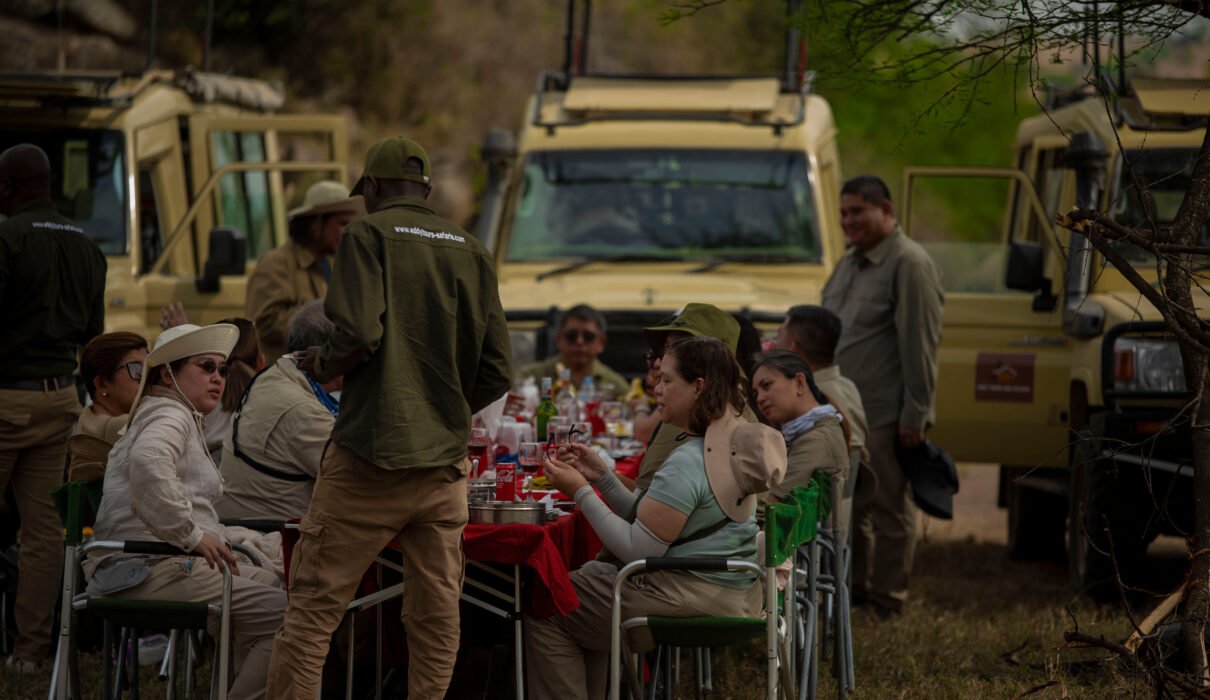 Explore Tanzania in 7 Days: Big Five & Wildebeest Migration Safari in (2026-2028)