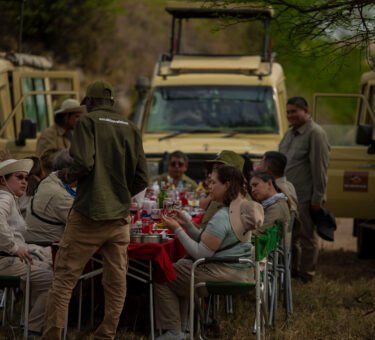 Explore Tanzania in 7 Days: Big Five & Wildebeest Migration Safari in (2026-2028)