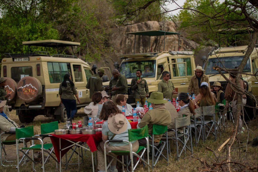 Your Tanzania Safari Checklist: Everything You Need Before You Go