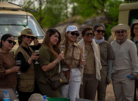 Where Should I Go on Safari in July 2026, 2027, and 2028?