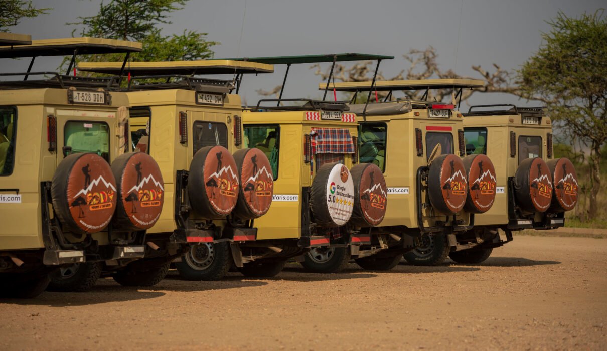 The pro Ultimate Tanzania Safari Guide 2026/2027&2028