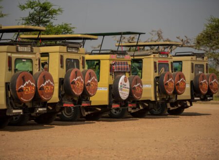 The pro Ultimate Tanzania Safari Guide 2026/2027&2028