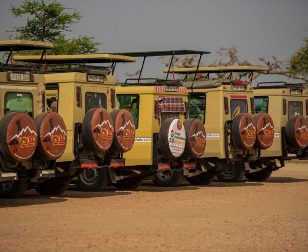 The pro Ultimate Tanzania Safari Guide 2026/2027&2028