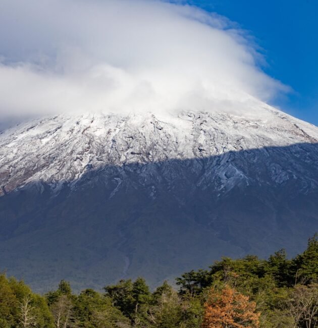 The Ultimate 4-Day Wildlife Safari in Tarangire, Ngorongoro & Mount Kilimanjaro (2026–2028)