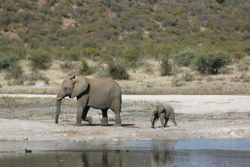 4-Day Private Big Five Safari-Tarangire, Serengeti & Ngorongoro Crater 2026,2027&2028
