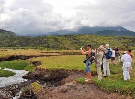 How to Prepare for a Safari in Tanzania