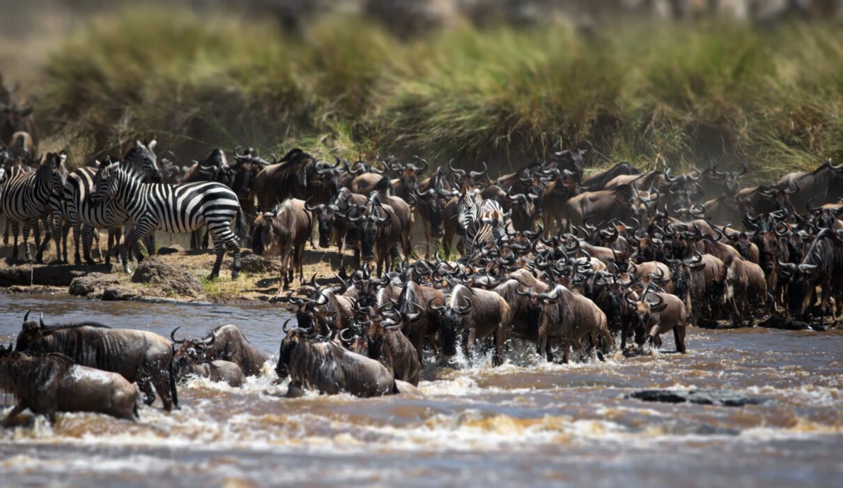 Classic Northern Circuit Tanzania Safari – 6 Days