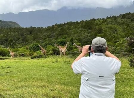 Everything You Should Know About tanzania Walking Safaris in 2026,2027&2028