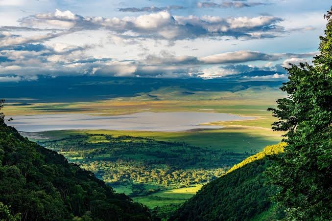 From Arusha: 3 Nights in the Serengeti & 5-Day Tanzania Mid-Range Group Safari (2026, 2027 & 2028)