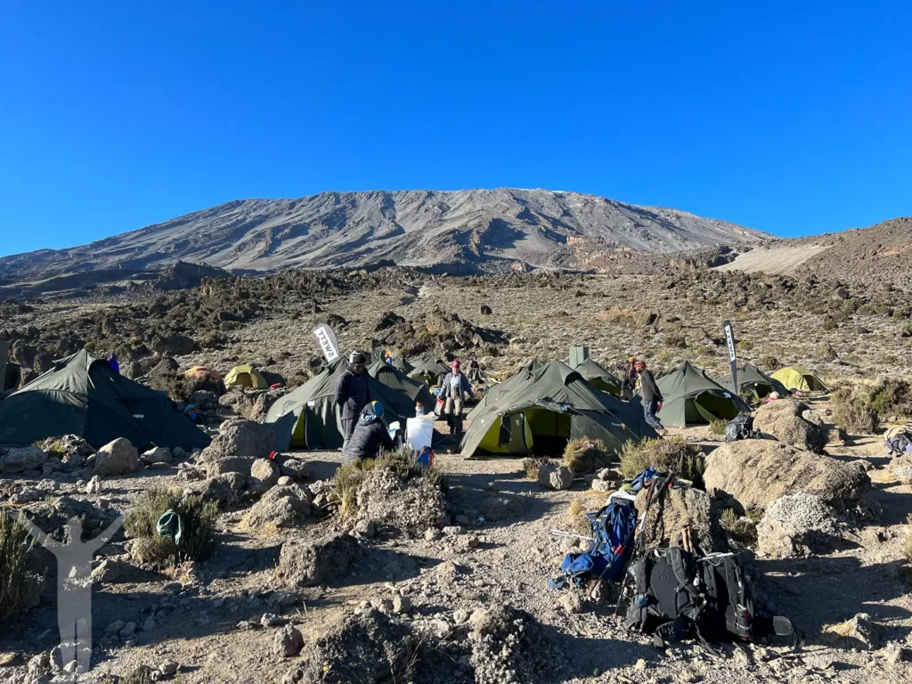 9-Day Mount Kilimanjaro Expedition on the Scenic Northern Circuit Route In 2026, 2027 & 2028