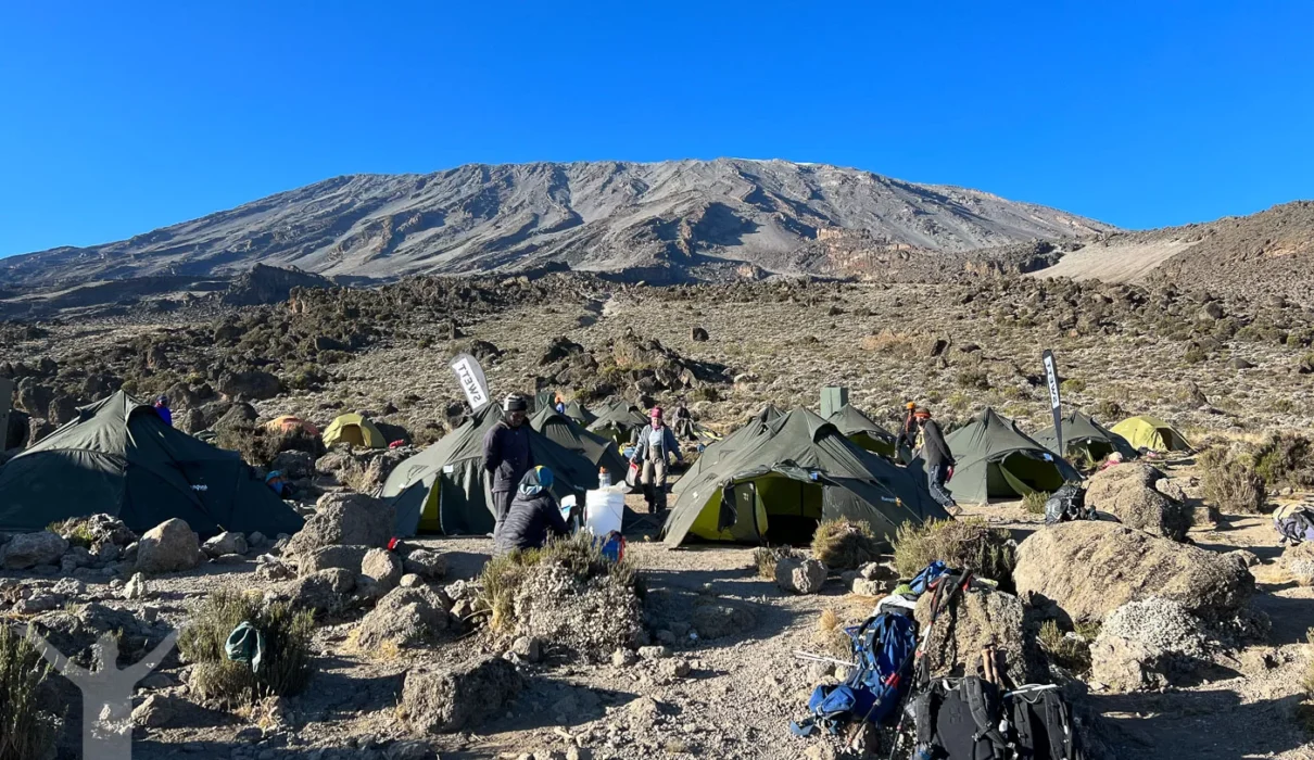9-Day Mount Kilimanjaro Expedition on the Scenic Northern Circuit Route In 2026, 2027 & 2028