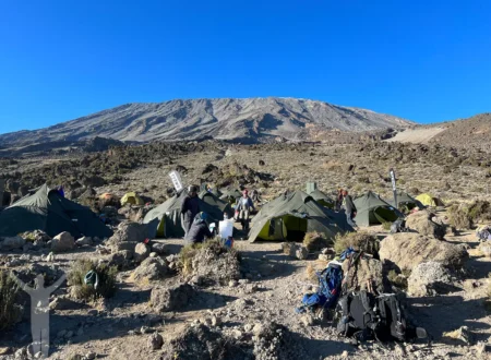 9-Day Mount Kilimanjaro Expedition on the Scenic Northern Circuit Route In 2026, 2027 & 2028