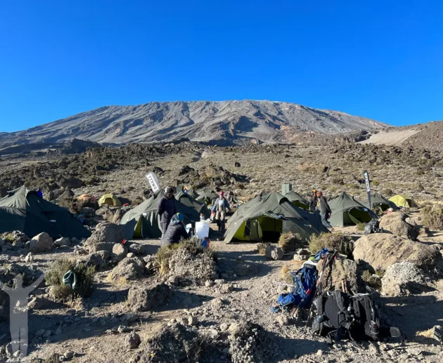 9-Day Mount Kilimanjaro Expedition on the Scenic Northern Circuit Route In 2026, 2027 & 2028