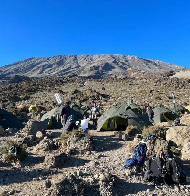 9-Day Mount Kilimanjaro Expedition on the Scenic Northern Circuit Route In 2026, 2027 & 2028